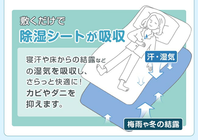 2枚入り】 除湿防ダニ防臭シート 5人用 130×180cm |寝具