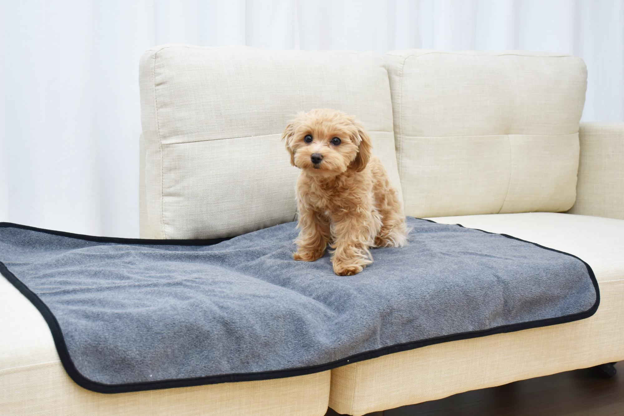 洗えるペットマット