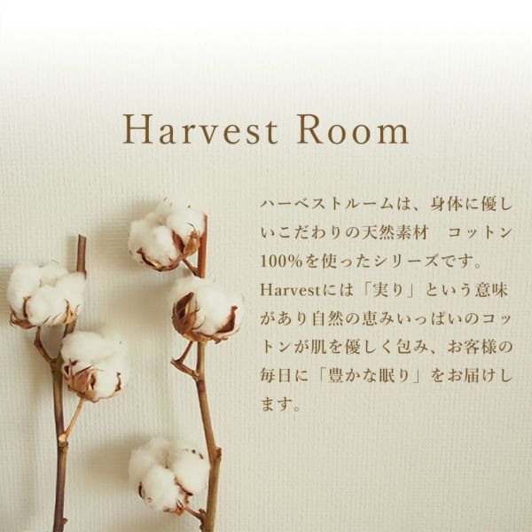 Harvestroom ダブルガーゼ 敷きパッド ダブル 二重ガーゼ おすすめ ダブル 二重ガーゼ シーツ 春 夏 秋 おしゃれ かわいい さらさら ピンク グレー アイボリー ブルー ラベンダー 人気 ランキング 寝具 インテリアの通販なら理想の生活館 公式 人気の敷きパッド