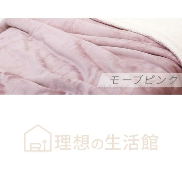 あったかフランネル2枚合せ毛布【セミダブル/160×200cm】カラーバリエーション